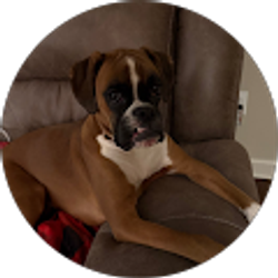 Profile photo of Kristi Cross