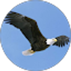 Profile photo of Jay H