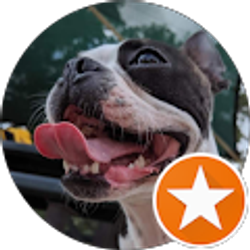 Profile photo of Stacey Ley