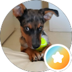 Profile photo of nina suzette