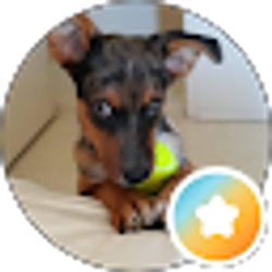 Profile photo of nina suzette