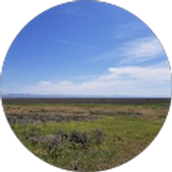 Profile photo of Tonya Kosmas