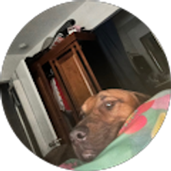 Profile photo of Michelle Suarez-Gilson