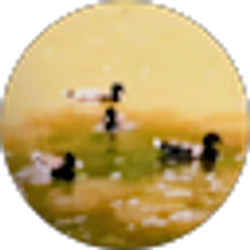 Profile photo of Joy M.