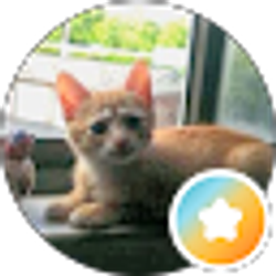 Profile photo of Maggie