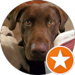 Profile photo of JoLynne Huotte