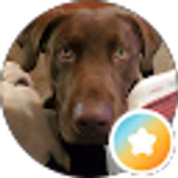 Profile photo of JoLynne Huotte