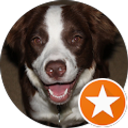 Profile photo of John Majka