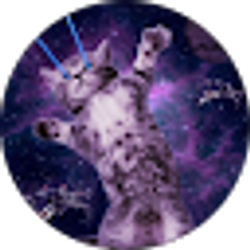 Profile photo of Stitch Rainwater