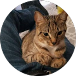 Profile photo of Krystal Spires