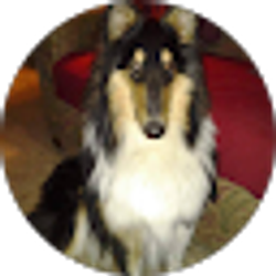 Profile photo of Ann Cantu