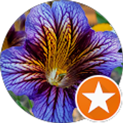 Profile photo of Cheri Watts