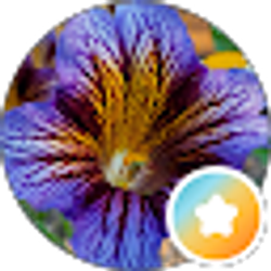Profile photo of Cheri Watts