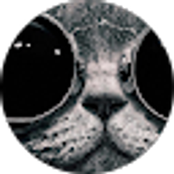 Profile photo of The One Bar Killer