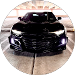 Profile photo of Sean