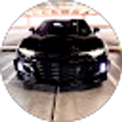 Profile photo of Sean