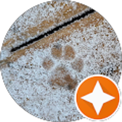 Profile photo of Lisa Daujotas