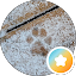 Profile photo of Lisa Daujotas