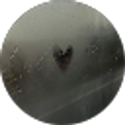 Profile photo of Donovan