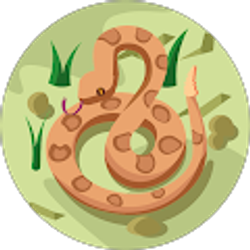 Profile photo of Tom Shank