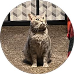 Profile photo of John Pinkston