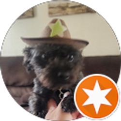 Profile photo of Derald Dreager