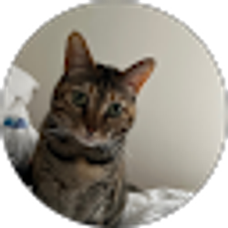 Profile photo of alex berg