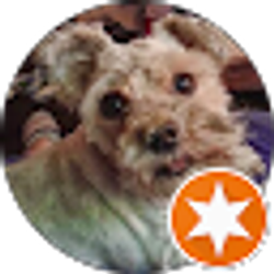 Profile photo of Marilynn Freeman