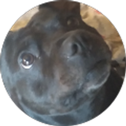 Profile photo of Eric Spuck