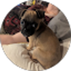 Profile photo of Jon David Spoolman