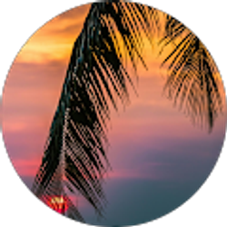 Profile photo of Tom