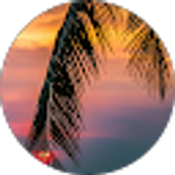 Profile photo of Tom