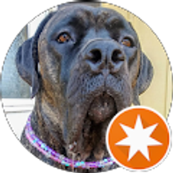 Profile photo of SillyTilly Gilly