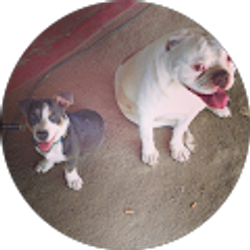 Profile photo of debbie sayachack