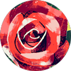 Profile photo of JR Holzer