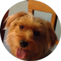 Profile photo of Heidi Pantanowitz