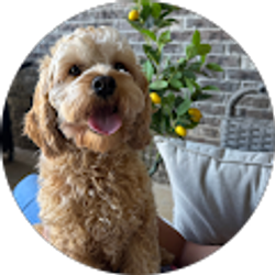 Profile photo of Rachel Mozingo