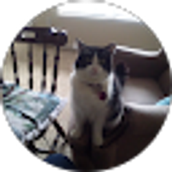 Profile photo of Peter Casula Jr