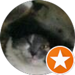 Profile photo of chris benchek