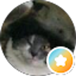 Profile photo of chris benchek
