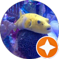 Profile photo of Tessa Brouse