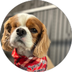 Profile photo of Larry Jackson