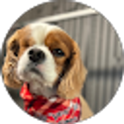 Profile photo of Larry Jackson