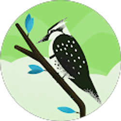 Profile photo of Pat Fitzgibbons