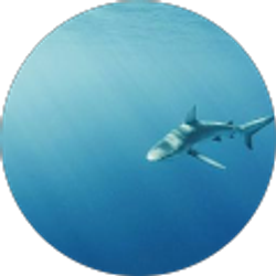 Profile photo of Dongkai Chen