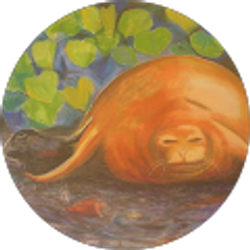 Profile photo of Sunny Seal