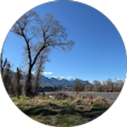 Profile photo of Todd Donnelly