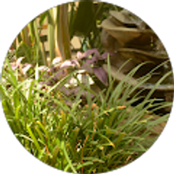 Profile photo of Brittney Tran