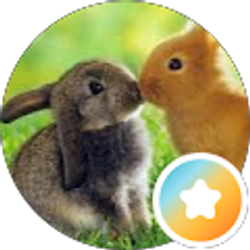 Profile photo of Jordan Baye