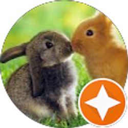 Profile photo of Jordan Baye